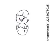 chick hatched from an egg.Easter chick.Doodle.Vector illustration