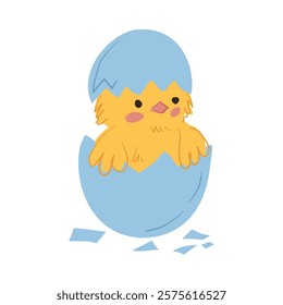 Chick Hatching from Blue Egg
