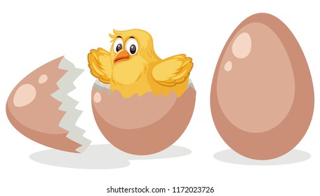 A chick hatching egg illustration