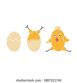 Chick hatching stage. Happy yellow baby chicken, doodle colorful baby birds in different poses, poultry farm cute creature, cartoon minimalistic style collection easter symbol vector flat isolated set