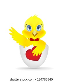Chick with a heart on a white background