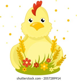 chick holiday flowers easter thanksgiving spring chicken rooster eggs