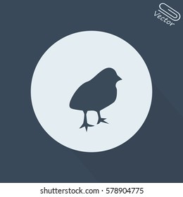 Chick Icon