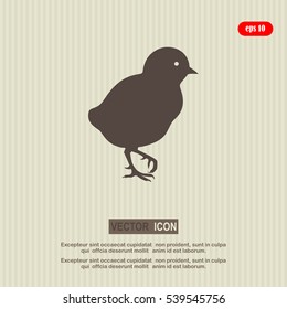 chick, icon, black silhouette