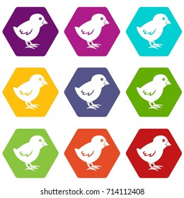 Chick icon set many color hexahedron isolated on white vector illustration