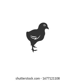 chick Icon vector sign isolated for graphic and web design. chick symbol template color editable on white background.
