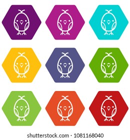 Chick icons 9 set coloful isolated on white for web
