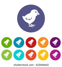 Chick icons set in circle isolated flat vector illustration