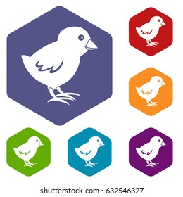 Chick icons set hexagon isolated vector illustration