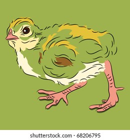 Chick in linear style on green background walking