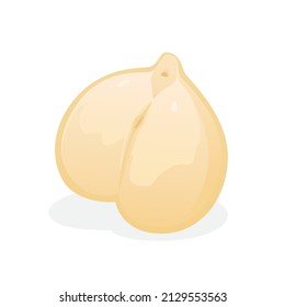 Chick pea isolated on white background. Vector illustration of vegetable