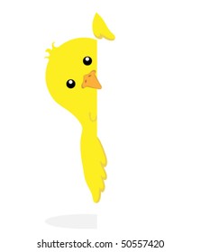 Chick peeping at the side of a blank rectangular sign (white rectangle). The chick is individually grouped so he could be placed on the side of any rectangular shape.