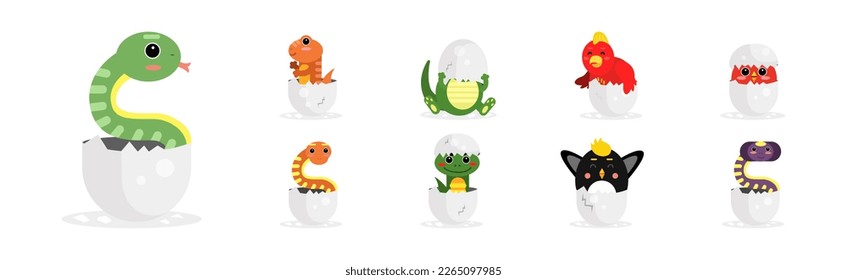 Chick and Reptile Hatching from Cracked Egg Shell Vector Set