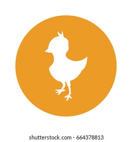chick round icon