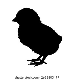 Chick silhouette icon vector flat design on white background.