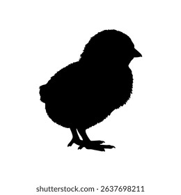 Chick silhouette icon vector flat design on white background