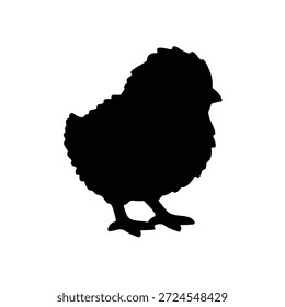 Chick silhouette icon vector flat design.