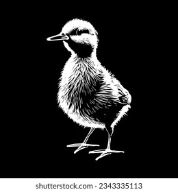 Chick Sketch Hand Drawn Engraving Illustration