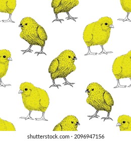 Chick sketch seamless pattern. Yellow chick repeat pattern