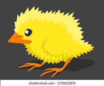Chick small yellow poultry, vector cartoon color illustration horizontal
