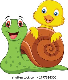 Chick and snail cartoon vector art and illustration