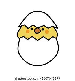 a chick that has just hatched from an egg