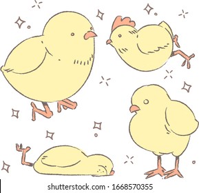 Chick vector . 
Chick doodle illustration 