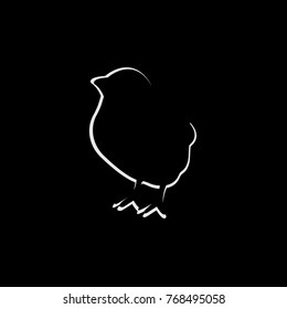 chick vector illustration Flat style