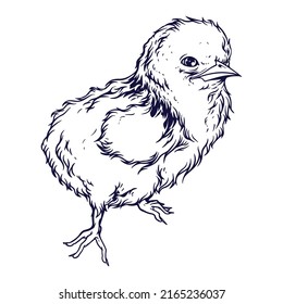 Chick Vector Illustration Line Art Stock Vector (Royalty Free ...