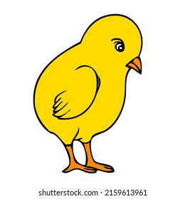 chick vector illustration,isolated on white background,top view