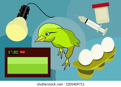 conjunto de vectores de pollo, vacuna, incubadora y bombilla