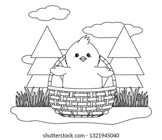 chick in wicker basket