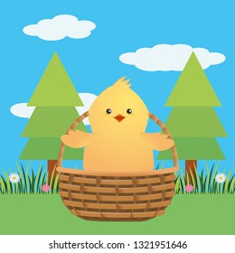 chick in a wicker basket