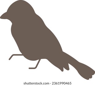 chickadee bird flying animal wild