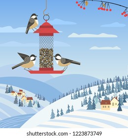 Chickadee birds on feeder. Birdfeeding near winter rural community. Small bird of backyard minimal cartoon design. Robin birds feeding by sunflower seeds. Birdwatching background. Vector illustration