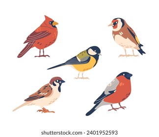 Chickadee, Northern Cardinal, Sparrow, Goldfinch and Bullfinch Birds Isolated on White Background. Beautiful Creatures