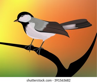 Chickadee,
Chickadee  Sitting On  The Tree Branch,    All elements are in separate layers co lour can be changed easily.    