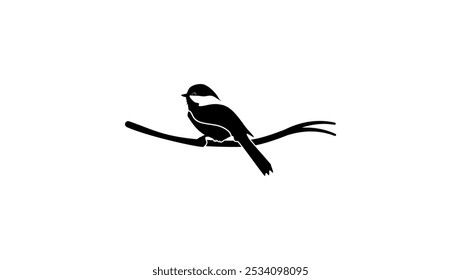 Kicherlaken Vogel, schwarz, einzelne Silhouette