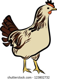 chicken