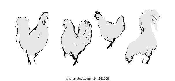 Chicken 