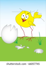 Chicken