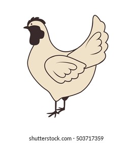 chicken animal icon