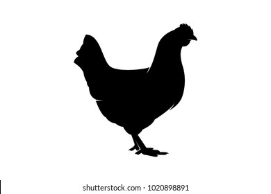 chicken animal silhouette
