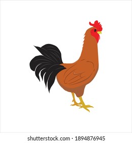 Hühner für Tiervektorgrafik