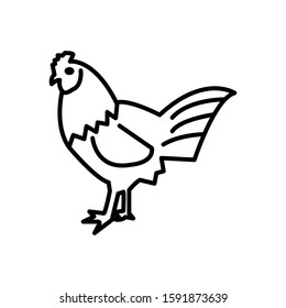 chicken animals icon vector design template