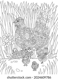 Chicken With Babies Resting In Tall Grass Colorless Line Drawings. Baby Chicks Surrounding Mother With Flowers And Leaves Coloring Book Page.