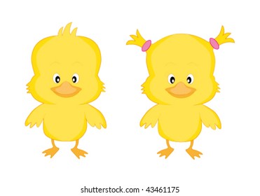 chicken baby