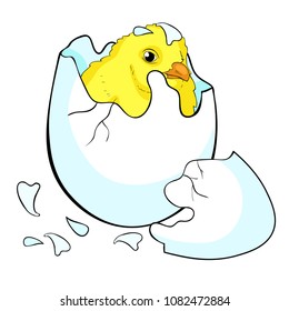 The is  chicken baby the egg hatchs  vector illustration