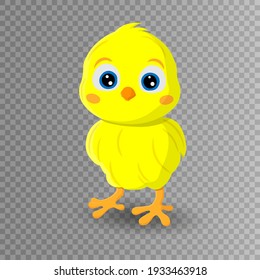 Niño de pollo. Feliz Pascua. Patata amarilla. Pollo de Pascua. Huevo resquebrajado. Chica linda. Papúa Nueva Guinea. Ilustración vectorial. Fondo transparente.