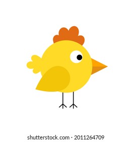 Chicken baby isolated on white. Cute little bird illustration in flat style